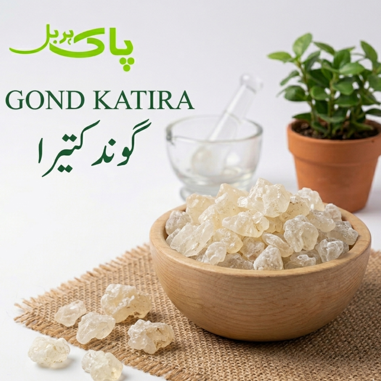 Gond Katira – 100% Pure Premium Pansar Product in Pakistan