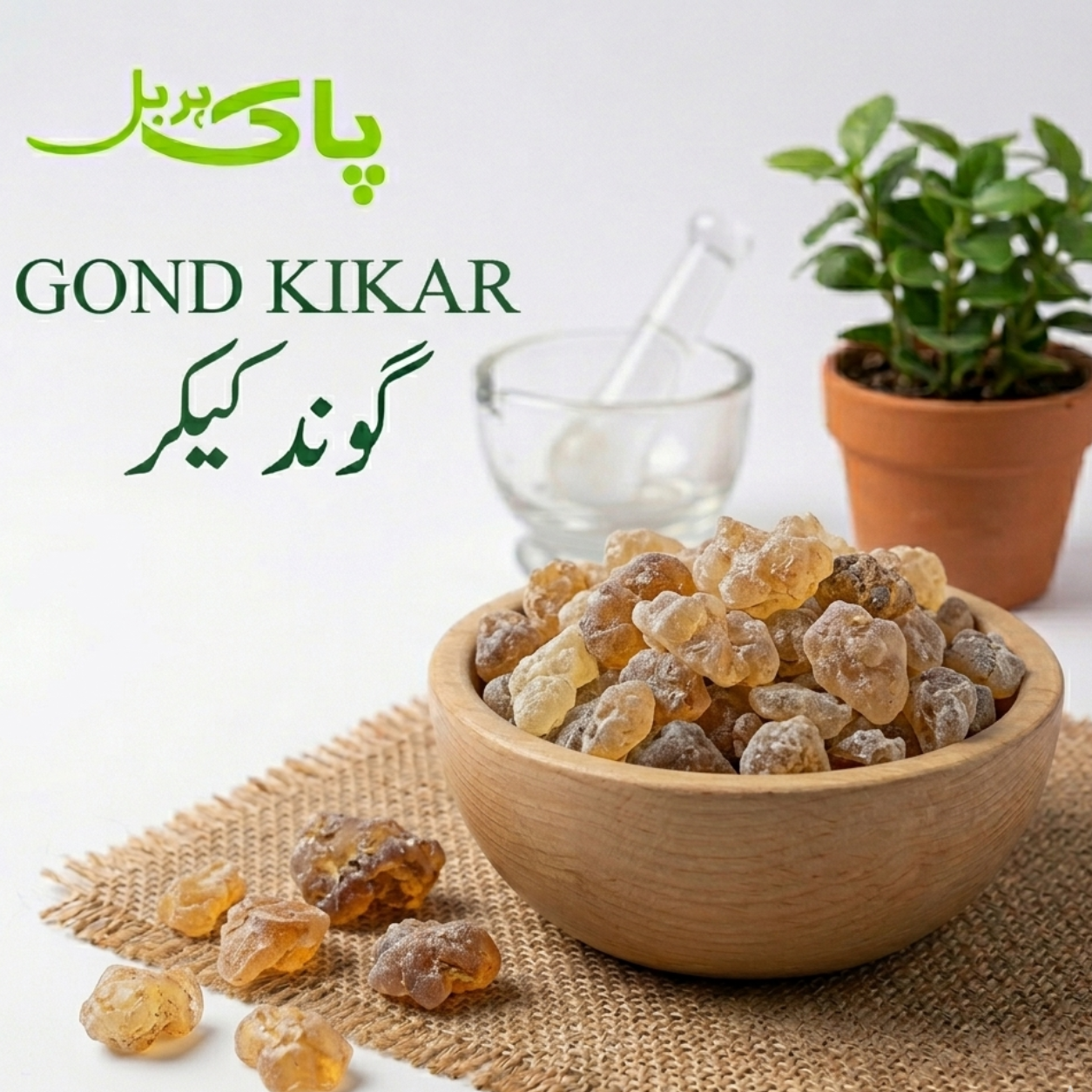 Gond Kikar – 100% Pure Premium Pansar Product in Pakistan