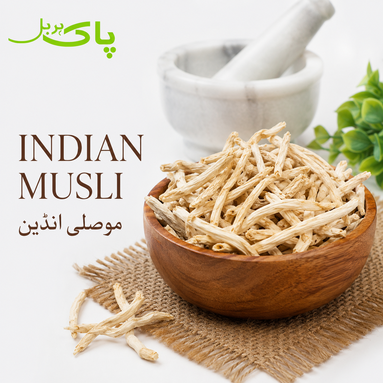 Indian Musli – 100% Pure Premium Herbal Product in Pakistan