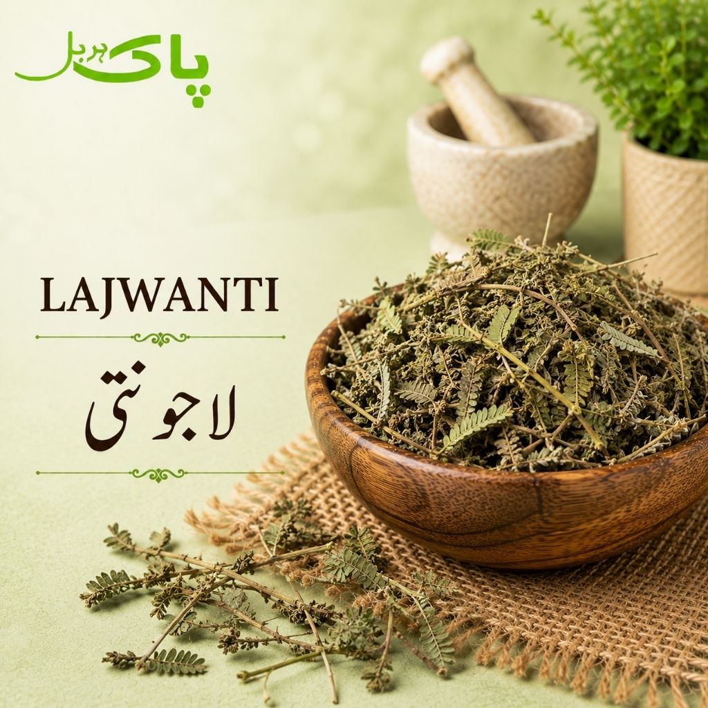 Lajwanti – 100% Pure Premium Traditional Herbal Product in Pakistan
