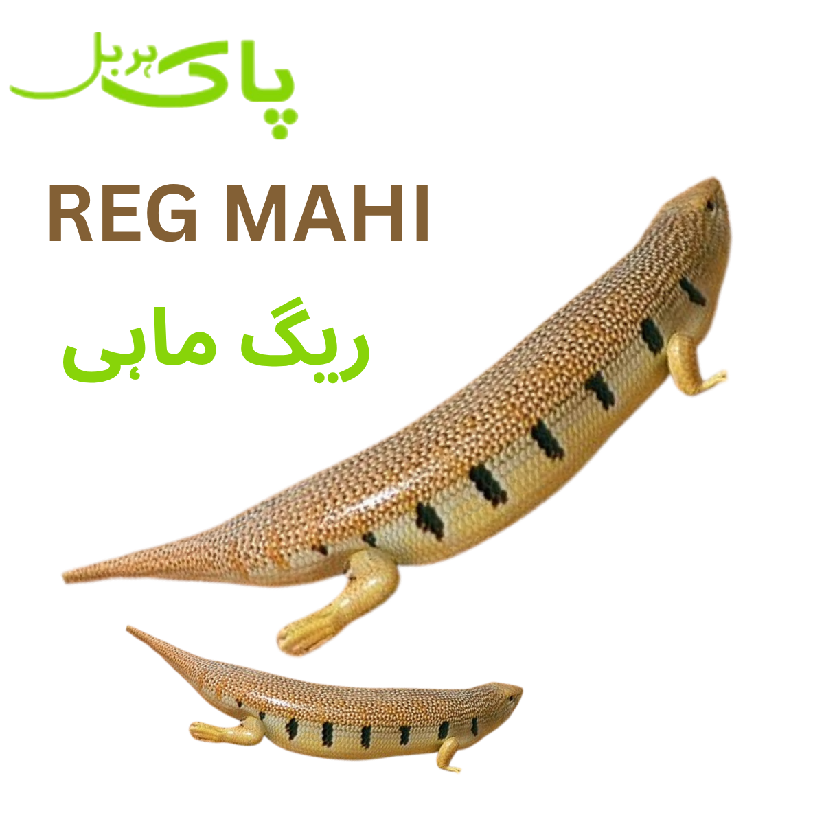 Reg Mahi – 100% Pure Premium Traditional Pansar Product