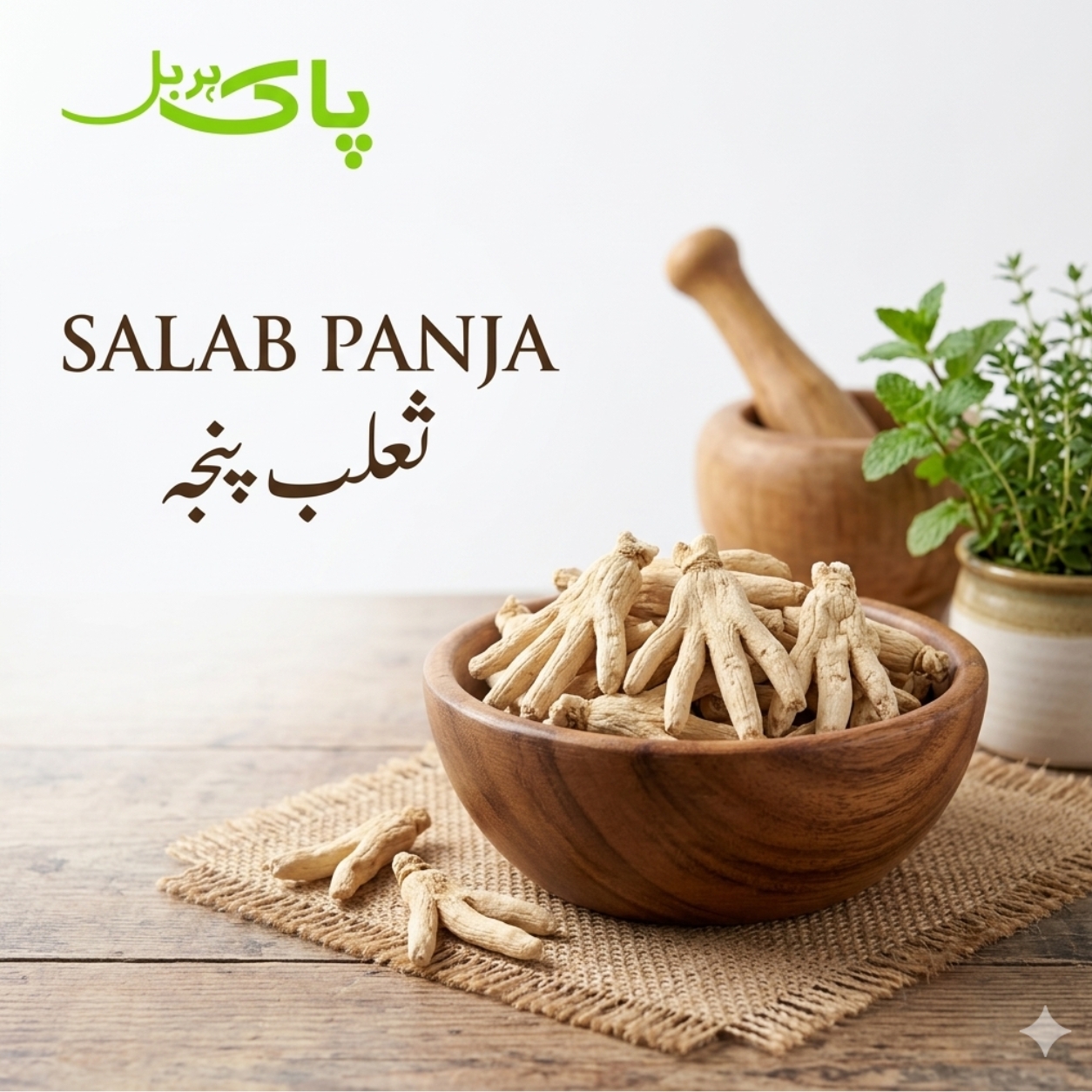 Salab Panja – 100% Pure Premium Herbal Product in Pakistan