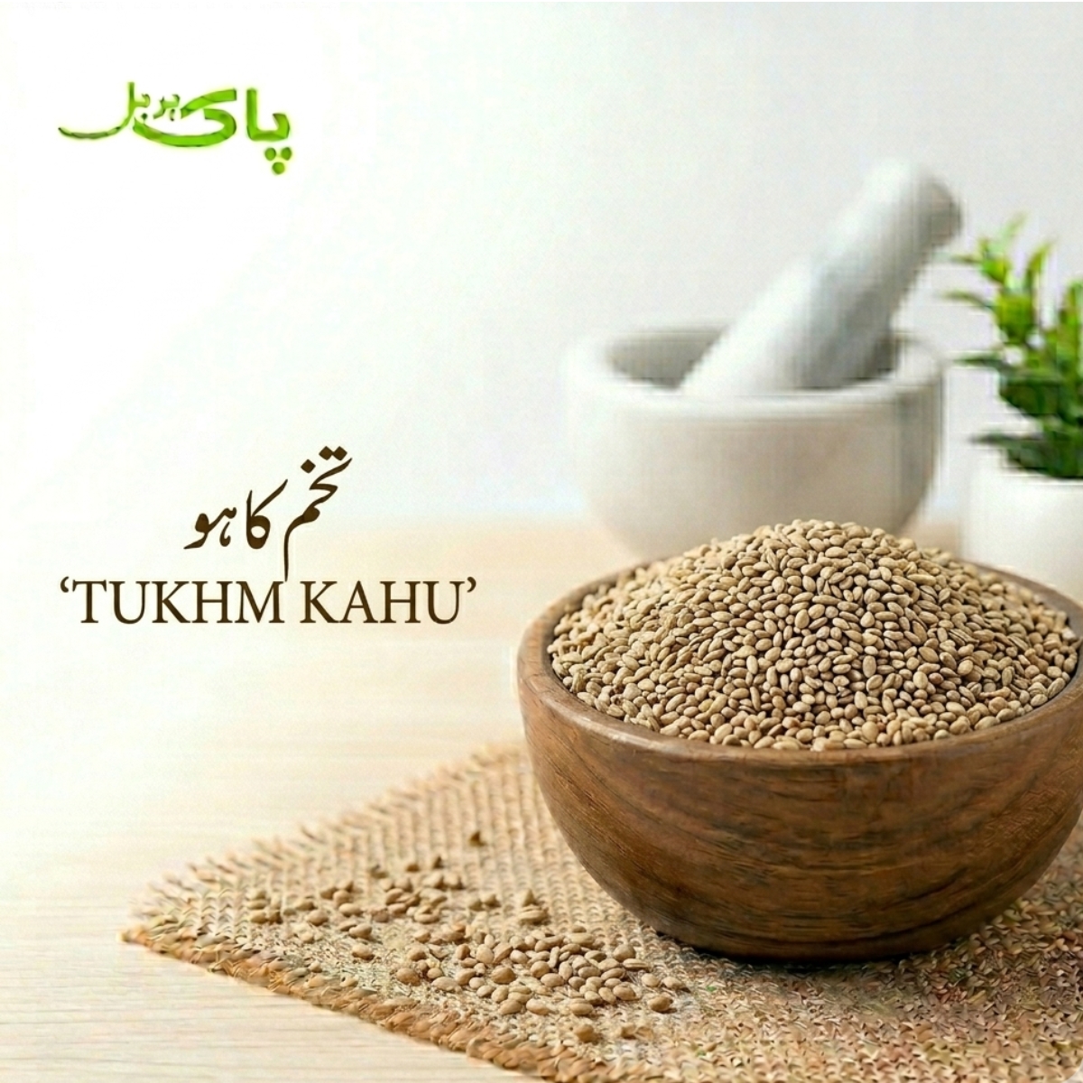 Tukhm Kahu – 100% Pure Premium Lettuce Seeds in Pakistan
