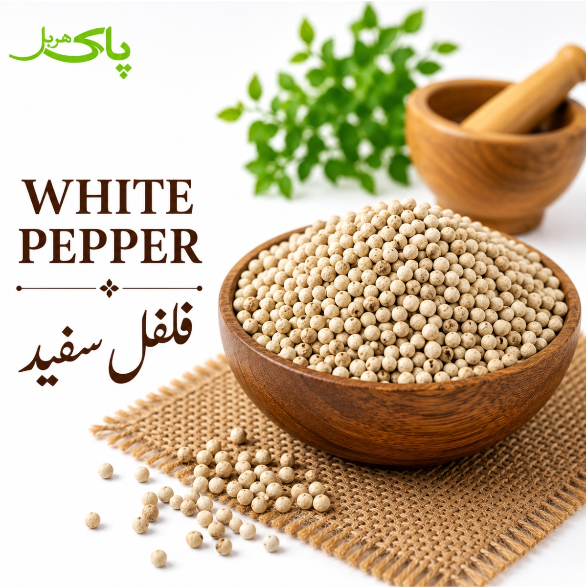 White Pepper – 100% Pure Premium Spice Product in Pakistan