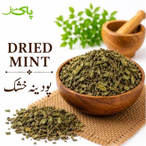 Pure Dried Mint Podina Khushk herbal product in Pakistan by Pak Herbal Store