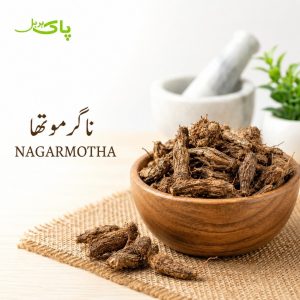 Pure Nagarmotha nutgrass root traditional herbal pansar product by Pak Herbal Store